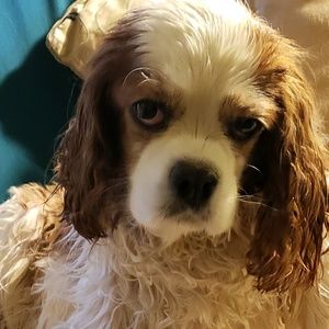 Meet your Posher, Gail